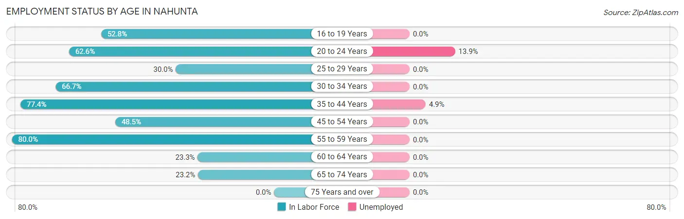 Employment Status by Age in Nahunta