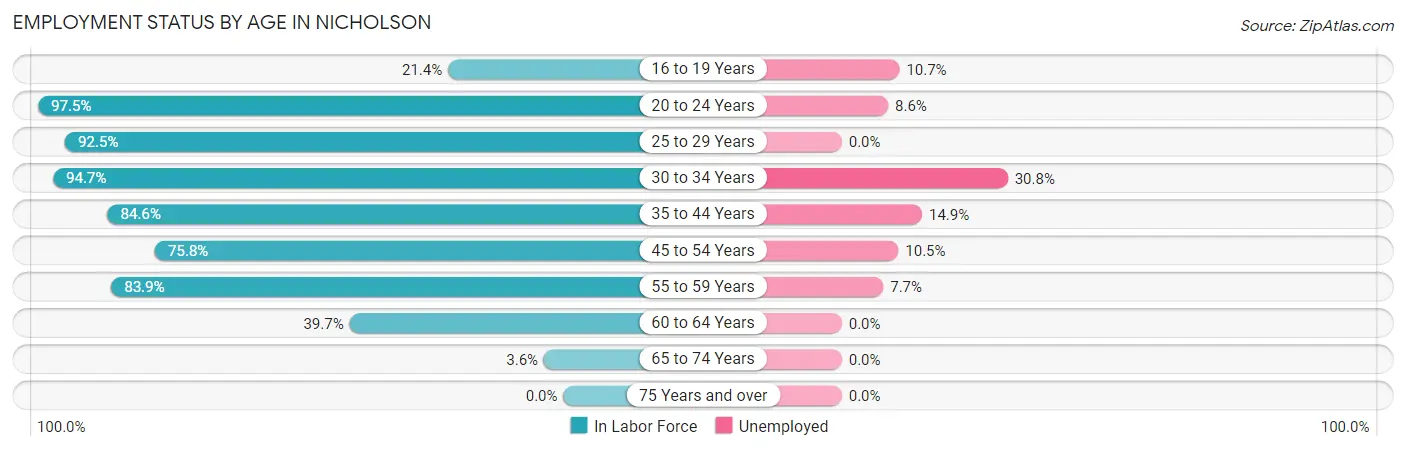 Employment Status by Age in Nicholson