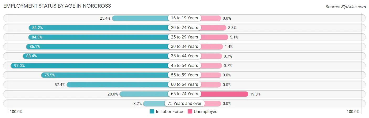 Employment Status by Age in Norcross