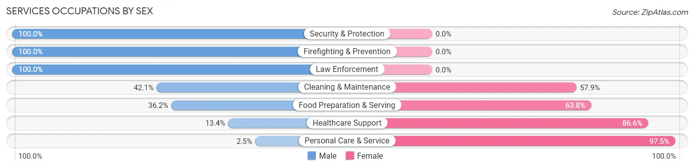 Services Occupations by Sex in Norcross