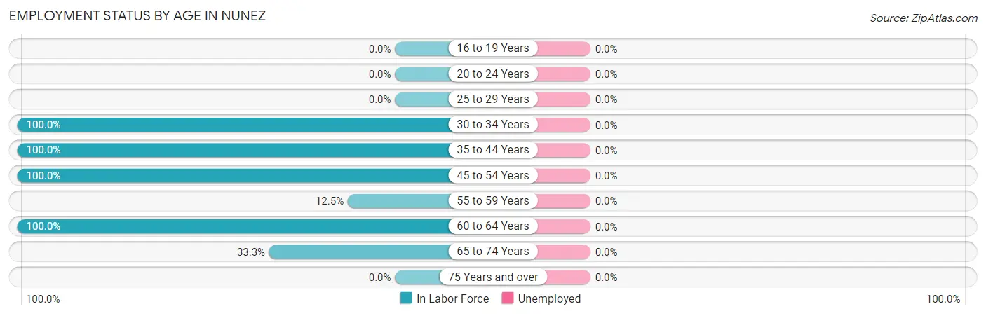 Employment Status by Age in Nunez