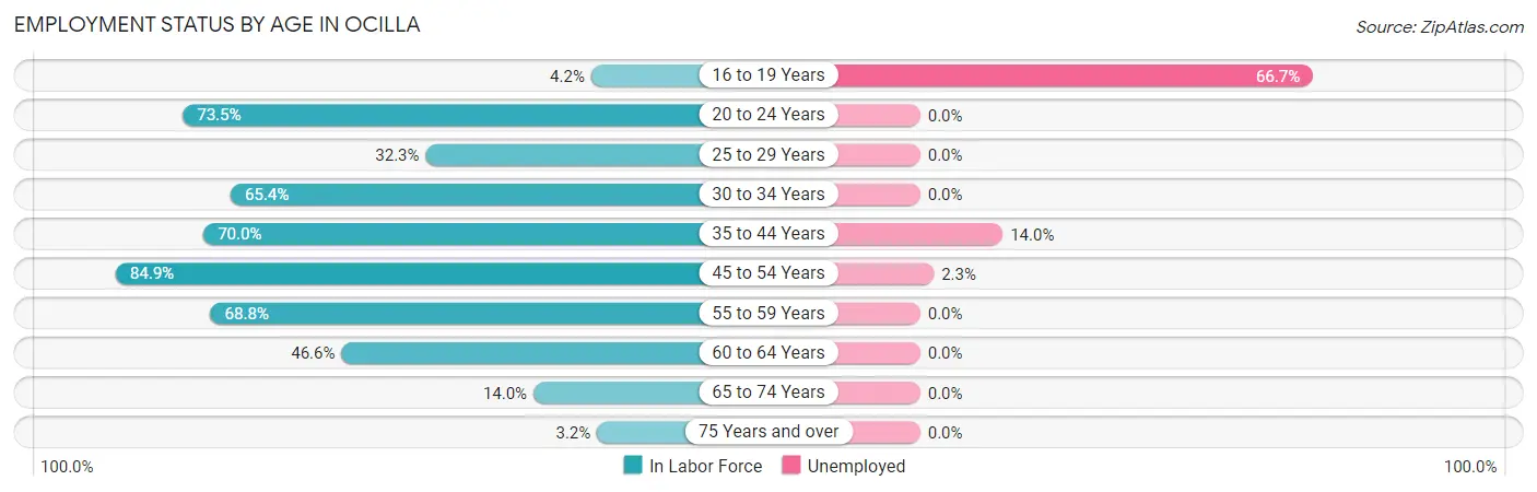 Employment Status by Age in Ocilla
