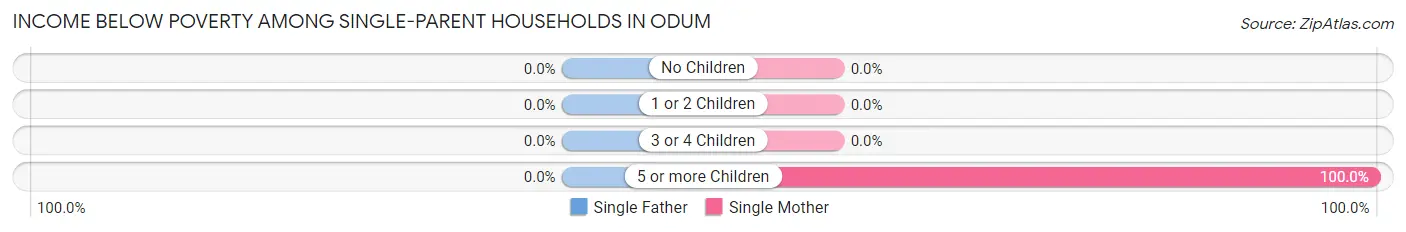 Income Below Poverty Among Single-Parent Households in Odum