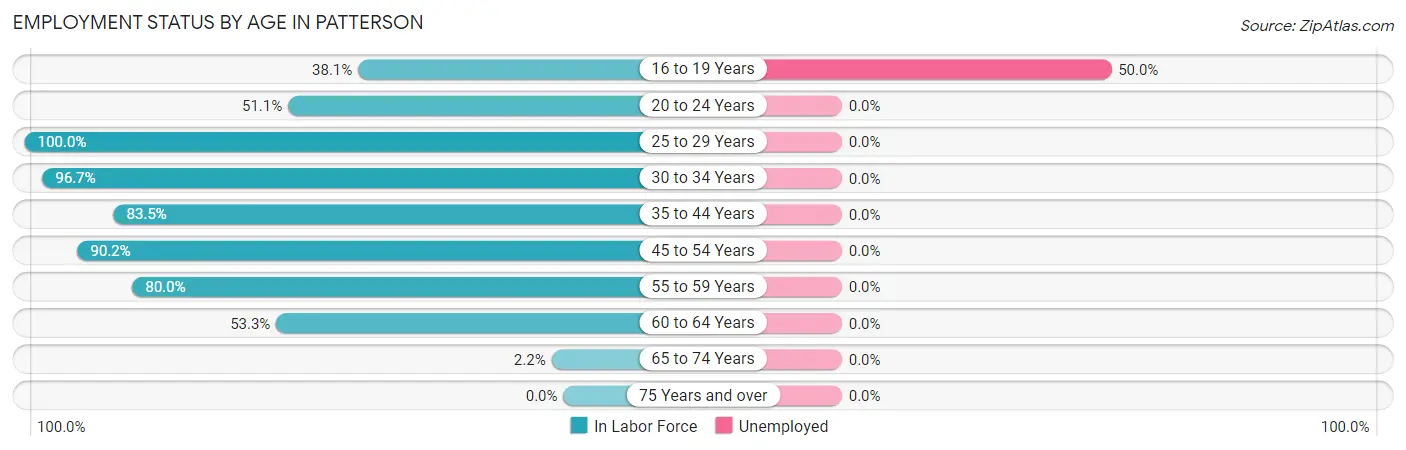 Employment Status by Age in Patterson