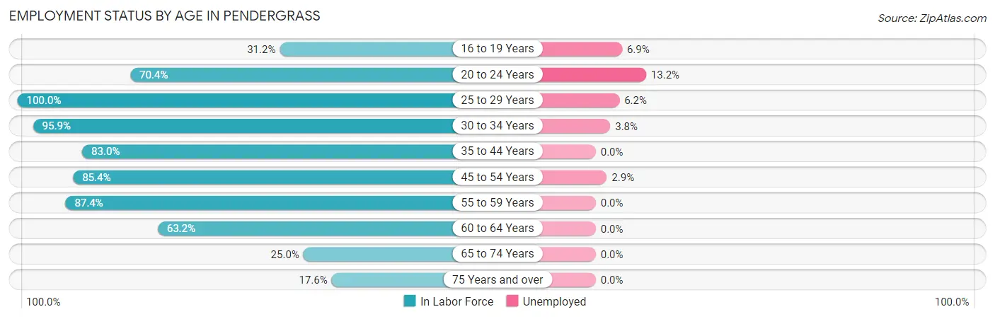 Employment Status by Age in Pendergrass