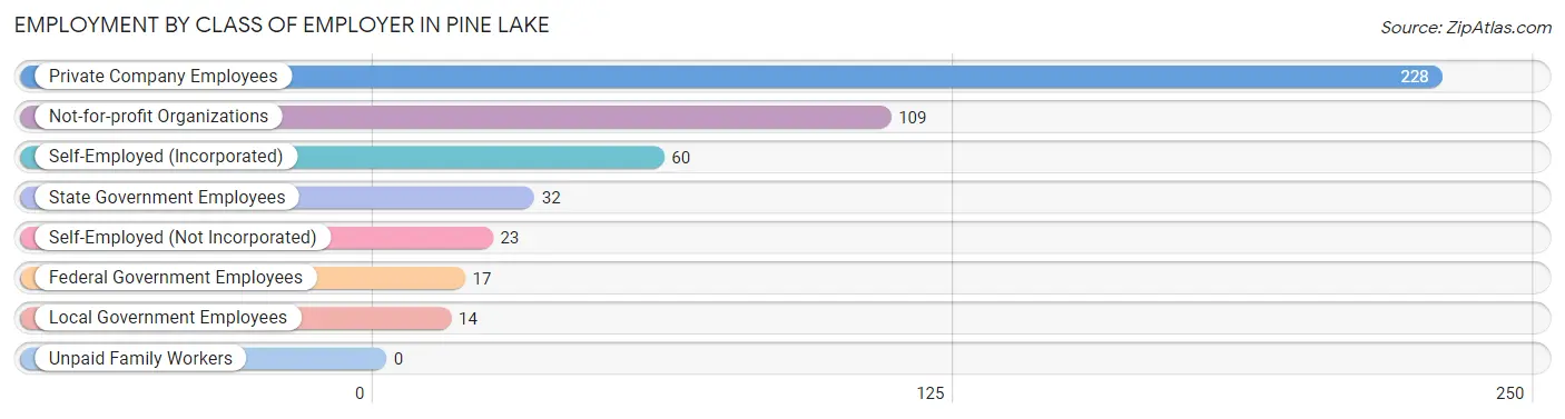 Employment by Class of Employer in Pine Lake