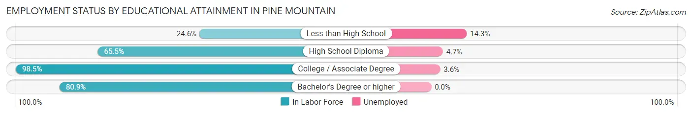 Employment Status by Educational Attainment in Pine Mountain