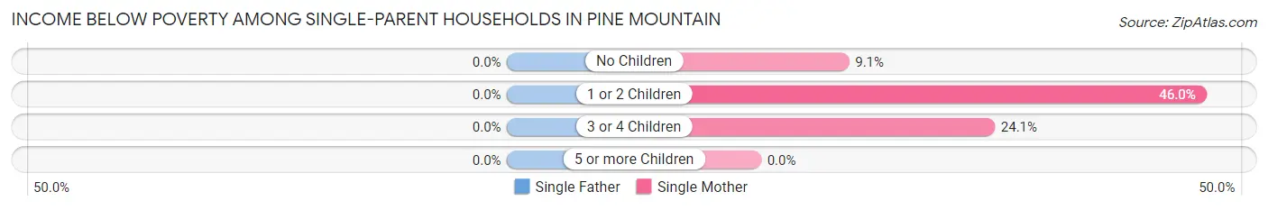 Income Below Poverty Among Single-Parent Households in Pine Mountain