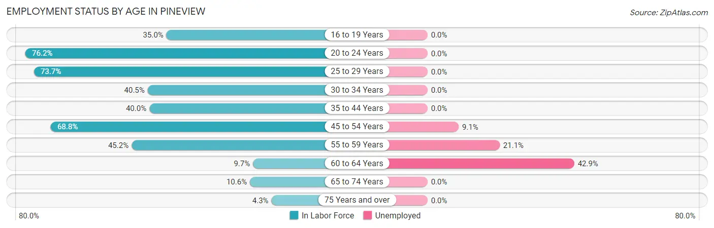 Employment Status by Age in Pineview