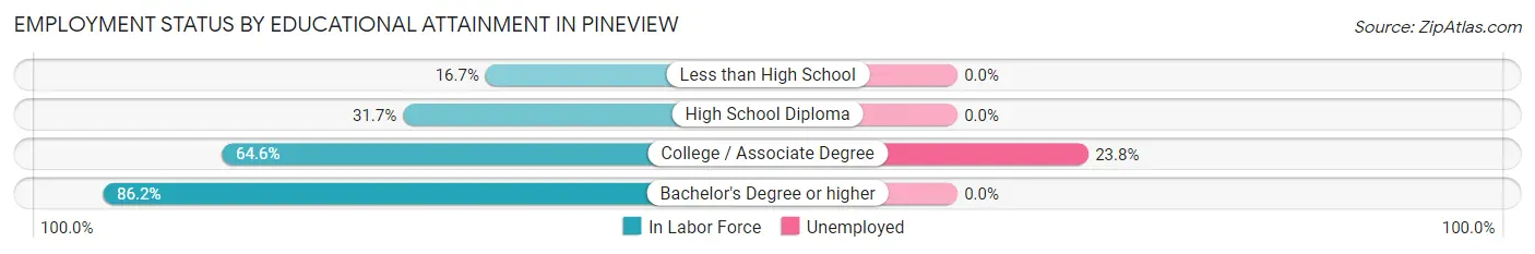 Employment Status by Educational Attainment in Pineview