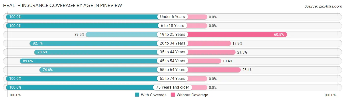 Health Insurance Coverage by Age in Pineview