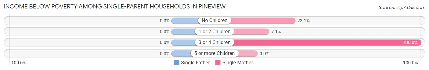 Income Below Poverty Among Single-Parent Households in Pineview