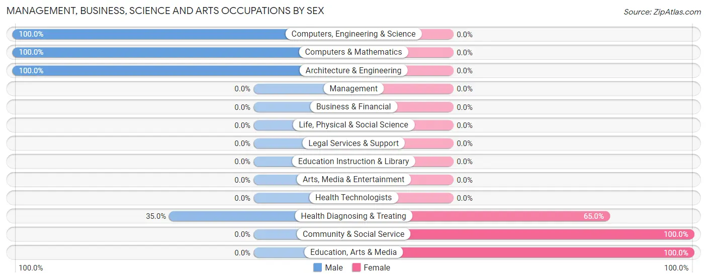 Management, Business, Science and Arts Occupations by Sex in Pineview