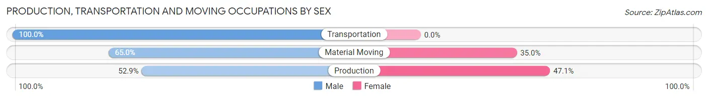 Production, Transportation and Moving Occupations by Sex in Pitts