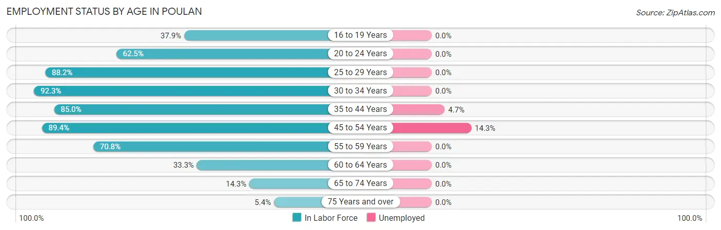 Employment Status by Age in Poulan