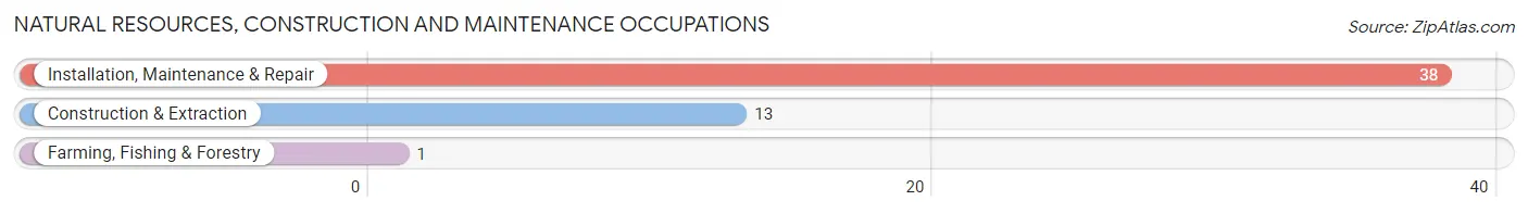 Natural Resources, Construction and Maintenance Occupations in Poulan