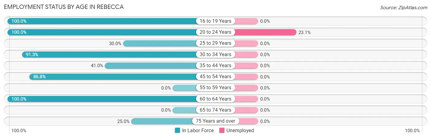 Employment Status by Age in Rebecca