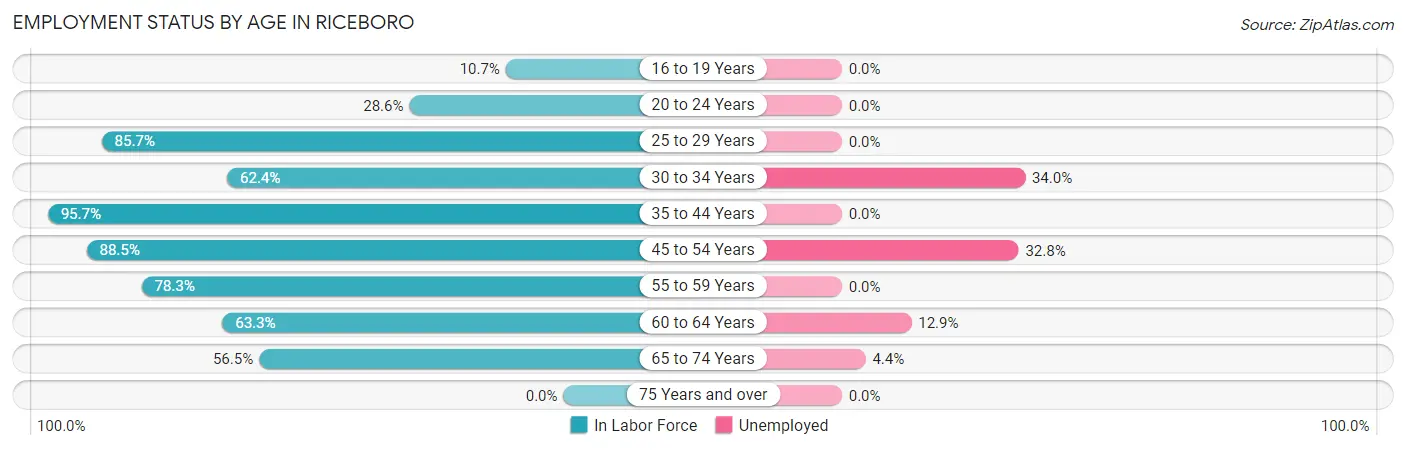Employment Status by Age in Riceboro