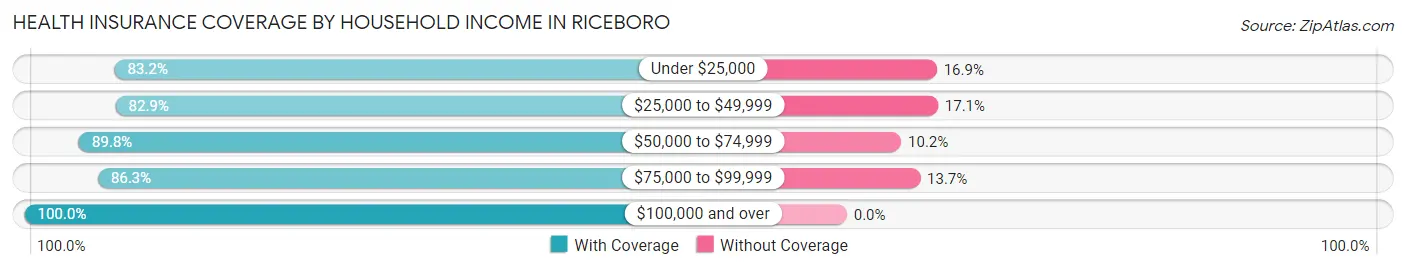 Health Insurance Coverage by Household Income in Riceboro