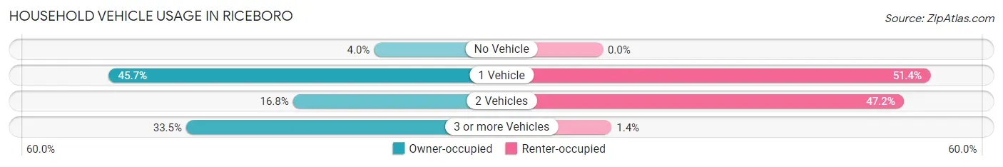 Household Vehicle Usage in Riceboro