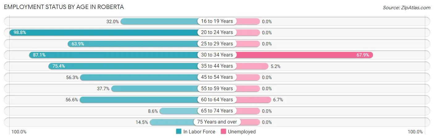 Employment Status by Age in Roberta
