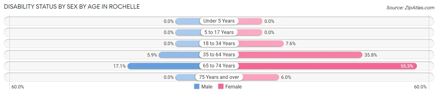 Disability Status by Sex by Age in Rochelle