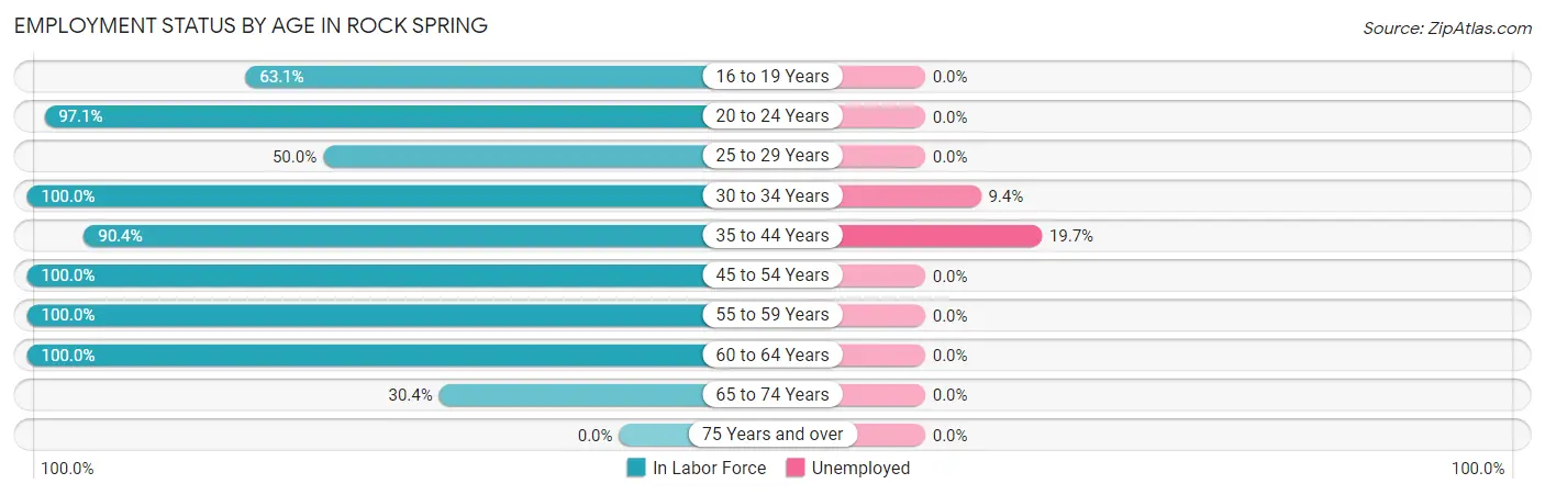 Employment Status by Age in Rock Spring