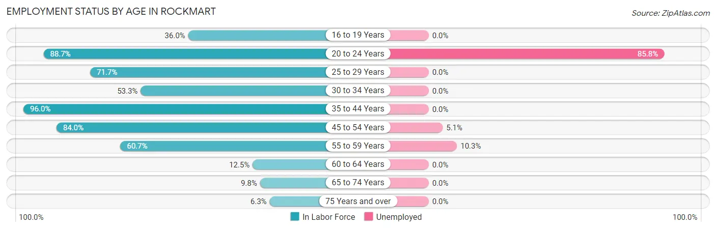 Employment Status by Age in Rockmart