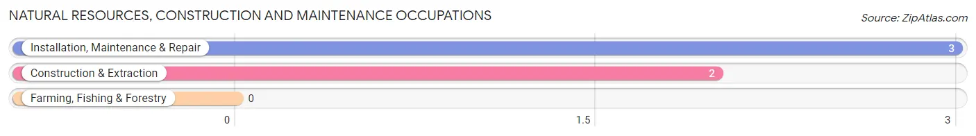 Natural Resources, Construction and Maintenance Occupations in Roopville