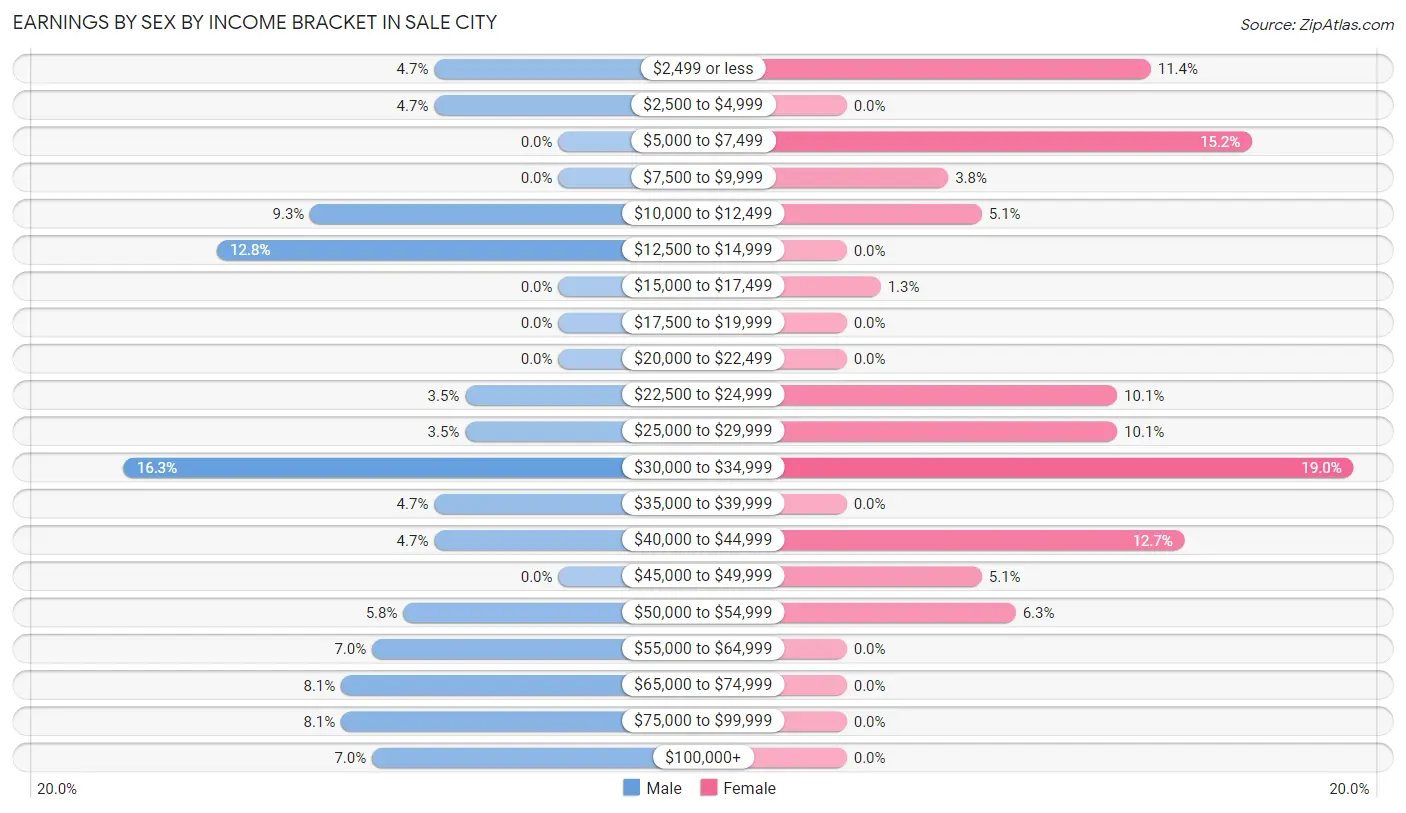 Earnings by Sex by Income Bracket in Sale City