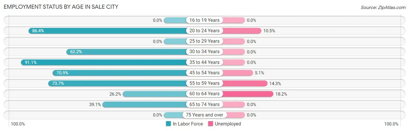 Employment Status by Age in Sale City