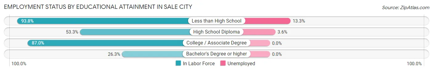 Employment Status by Educational Attainment in Sale City