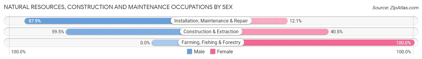 Natural Resources, Construction and Maintenance Occupations by Sex in Sandersville