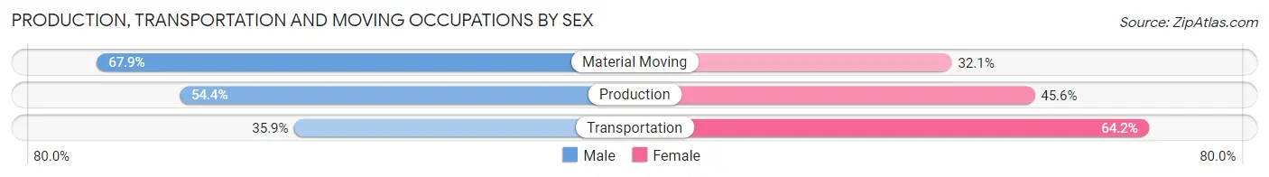 Production, Transportation and Moving Occupations by Sex in Sandersville