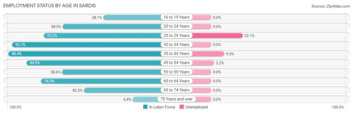 Employment Status by Age in Sardis