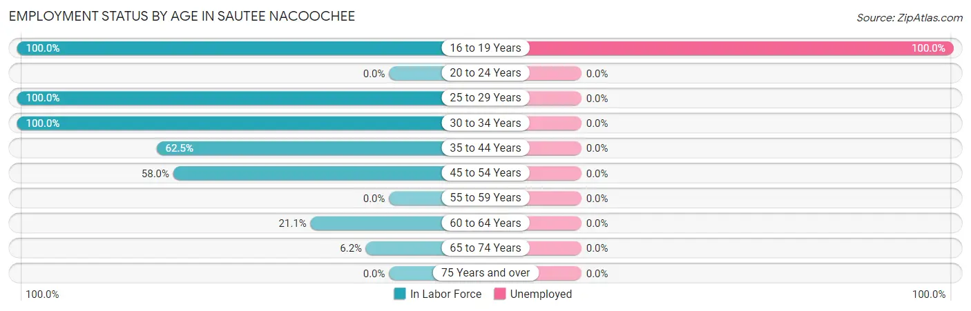 Employment Status by Age in Sautee Nacoochee