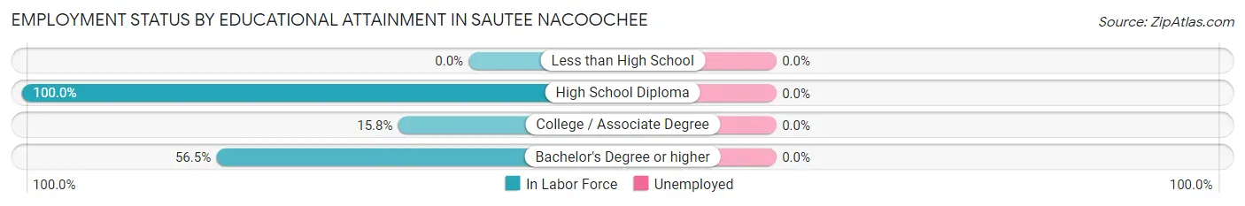Employment Status by Educational Attainment in Sautee Nacoochee