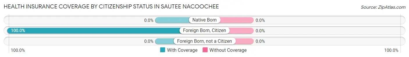 Health Insurance Coverage by Citizenship Status in Sautee Nacoochee