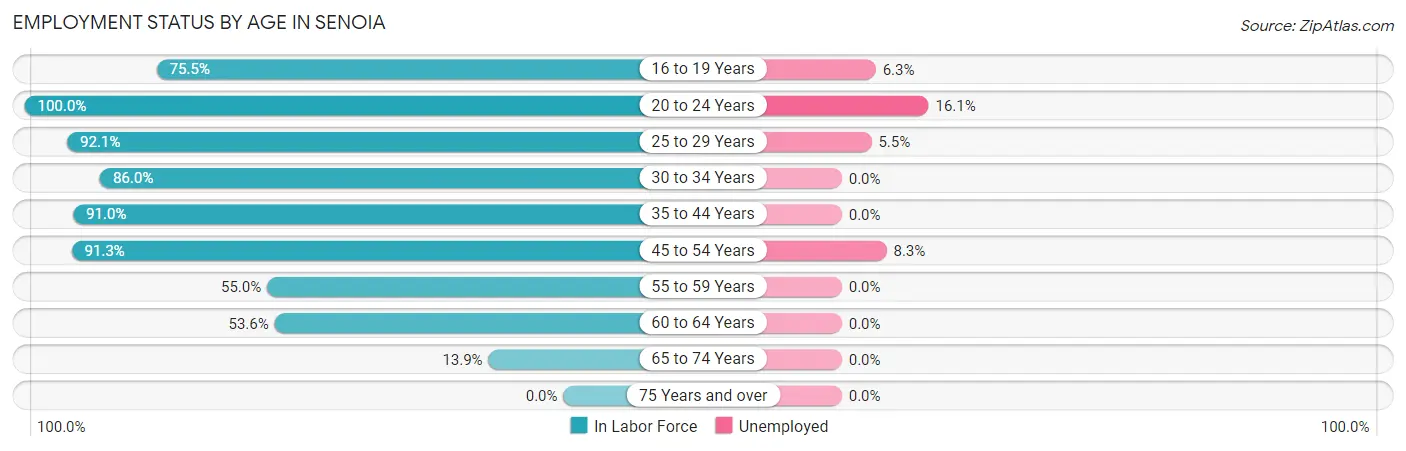 Employment Status by Age in Senoia