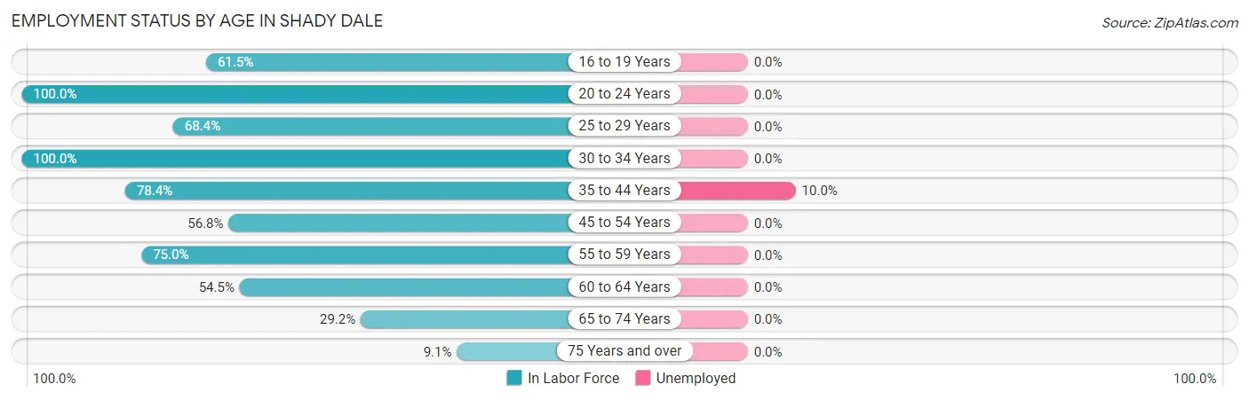 Employment Status by Age in Shady Dale