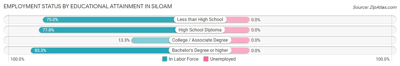 Employment Status by Educational Attainment in Siloam