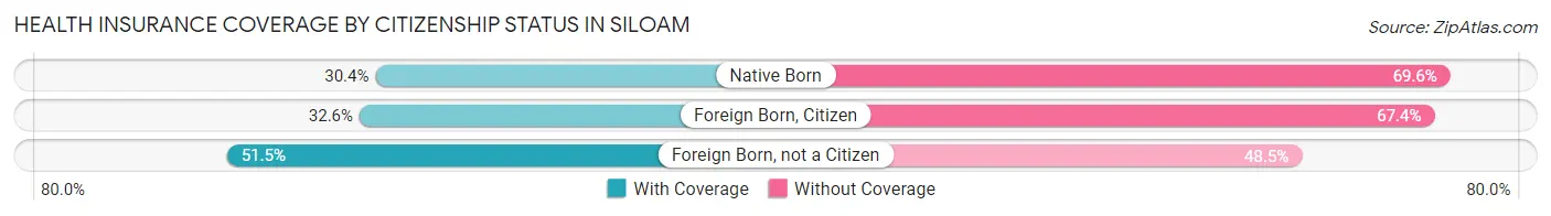 Health Insurance Coverage by Citizenship Status in Siloam