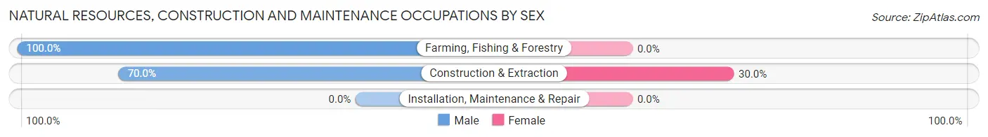 Natural Resources, Construction and Maintenance Occupations by Sex in Siloam