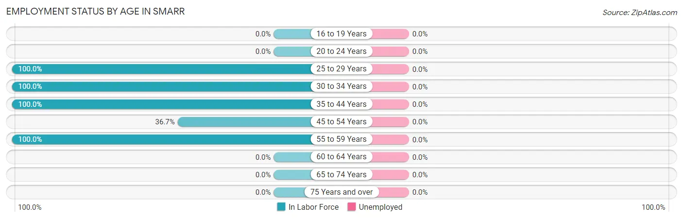 Employment Status by Age in Smarr