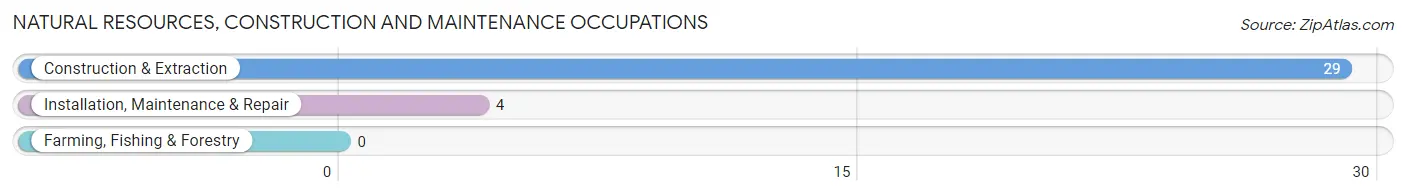 Natural Resources, Construction and Maintenance Occupations in Smithville