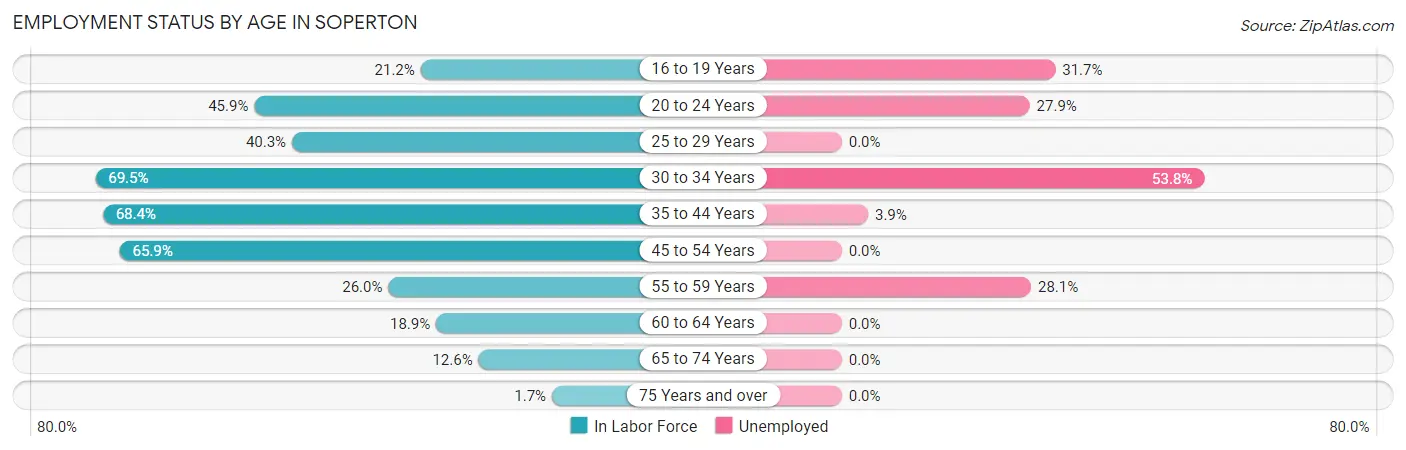 Employment Status by Age in Soperton