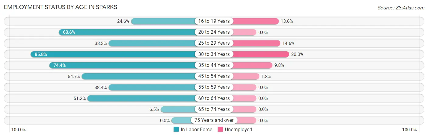 Employment Status by Age in Sparks