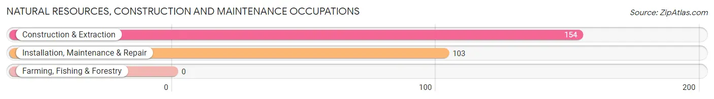 Natural Resources, Construction and Maintenance Occupations in Statham