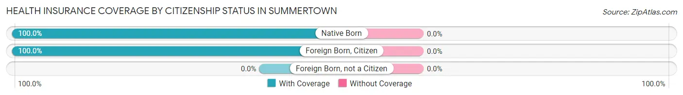 Health Insurance Coverage by Citizenship Status in Summertown