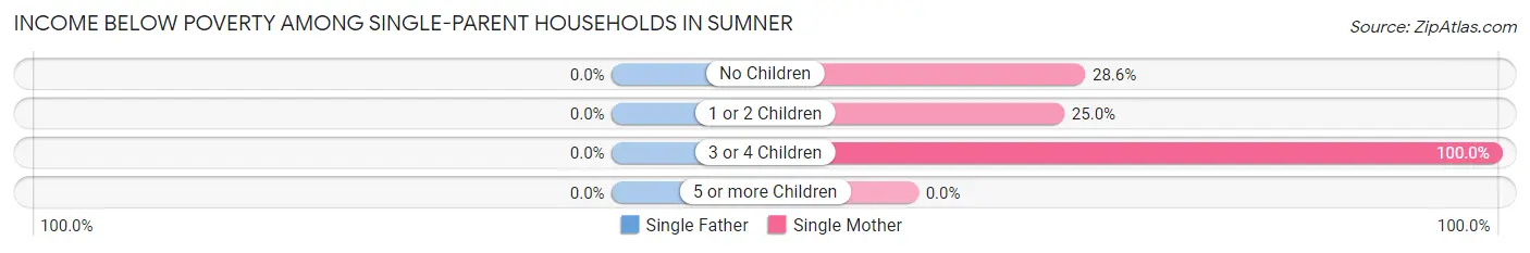 Income Below Poverty Among Single-Parent Households in Sumner